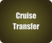 Cruise Transfer to Airport 