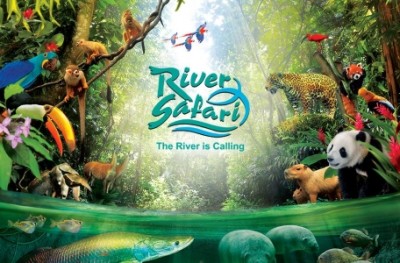 river-safari-singapore-attraction